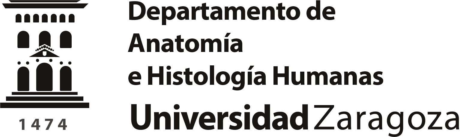 Departamento de Análisis Económico